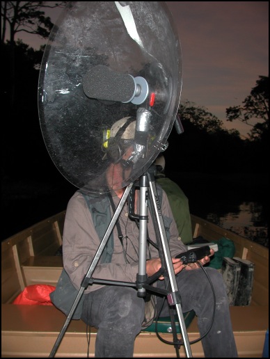 31---bird-call-recordings